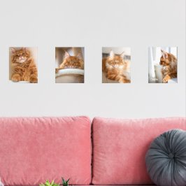 Sets De Impresiones Foto de Cuatro Familias Cat 8x10