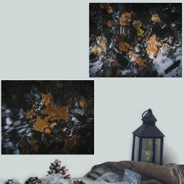 Sets De Impresiones Hojas y bellotas de otoño en aguas misteriosas
