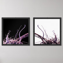 Incendio de la deriva