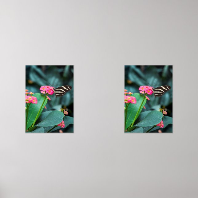 Sets De Impresiones mariposa colorida en el jardín (Anverso)