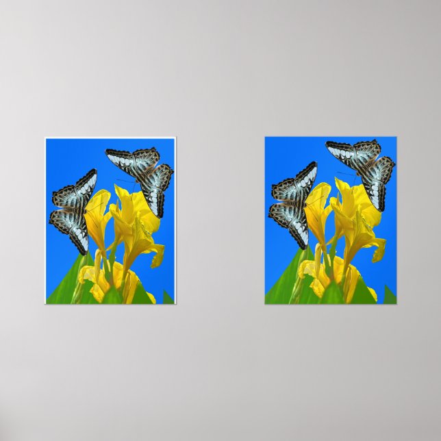 Sets De Impresiones Mariposas de barquillos azules malayas Imprimir se (Anverso)