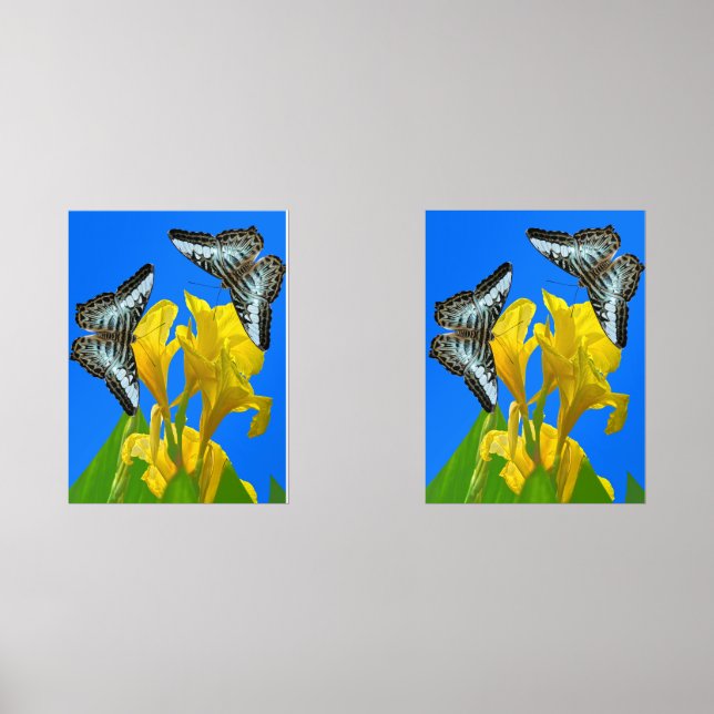 Sets De Impresiones Mariposas de barquillos azules malayas Imprimir se (Anverso)