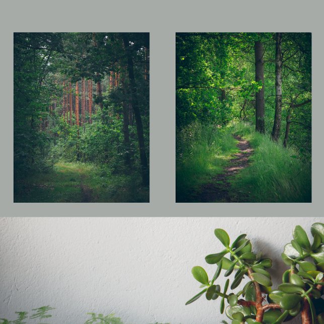 Sets De Impresiones Oasis verde: bosque de verano (Subido por el creador)