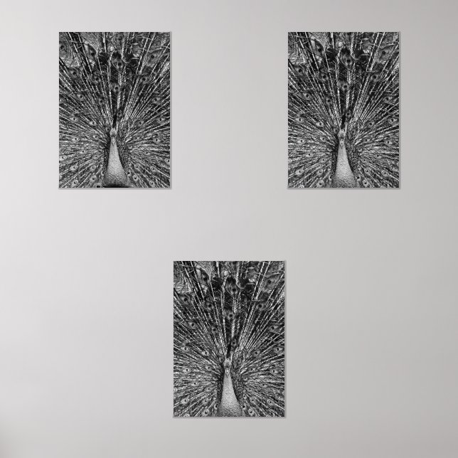 Sets De Impresiones Peacock negro y blanco (Anverso)