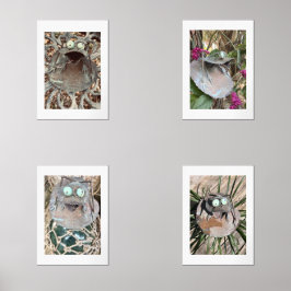 Sets De Impresiones Rana Quirky - Flores metalizado y vidrio