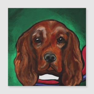 Setter Rojo Irlandés