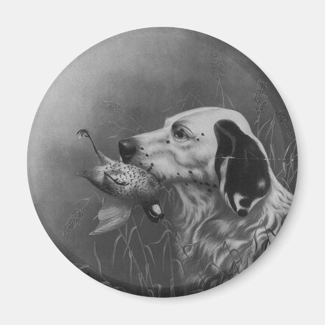 Setters con imán de grupo (Frente)