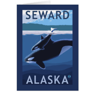 Seward, AlaskaOrca y escena del becerro