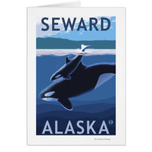 Seward, AlaskaOrca y escena del becerro