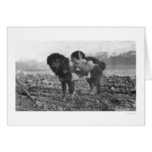 Seward de perro mochilero, Alaska 1911