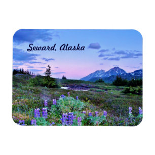 Seward, viaje del imán de Alaska