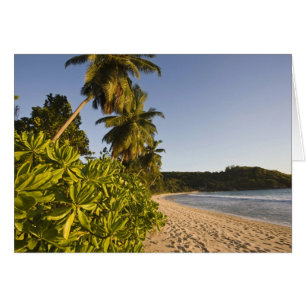 Seychelles, isla de Mahe, playa de Anse Takamaka,