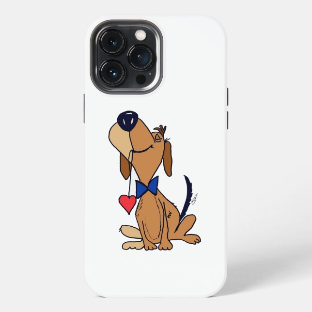 SG - 210 - Funda para iPhone 13 Pro Max (Reverso )