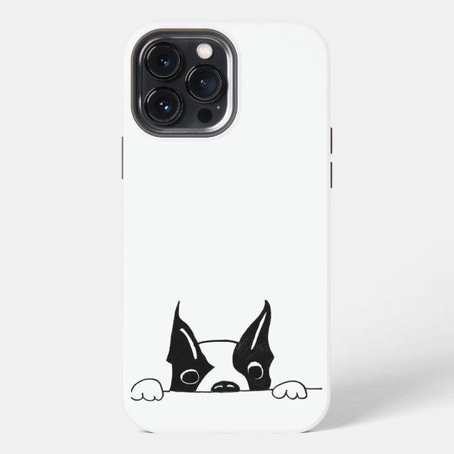 SG - 226 - Funda para iPhone 13 Pro Max (Reverso )