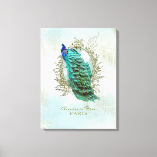 Shabby Peacock turquesa - Lienzo envuelto