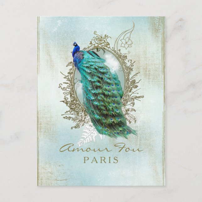 Shabby Peacock turquesa - Postal (Anverso)