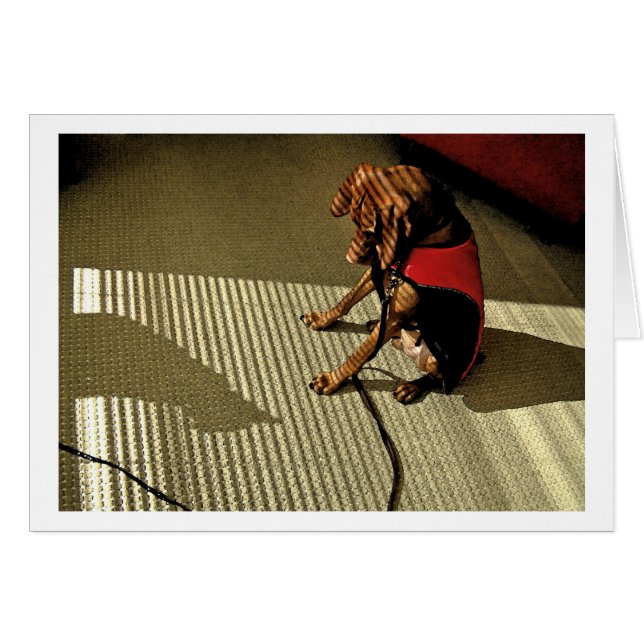 Shadowplay 1 (Anverso (Horizontal))