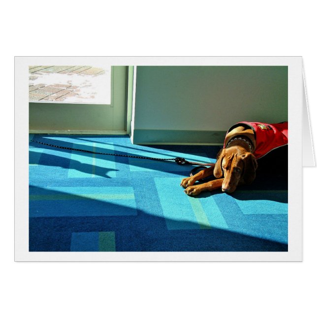 Shadowplay 2 (Anverso (Horizontal))