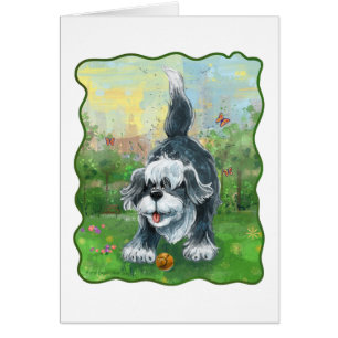 Shaggy Sheep Dog