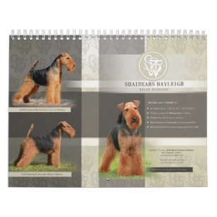 Shaireabs Bayleigh 2014 calendarios de Terrier
