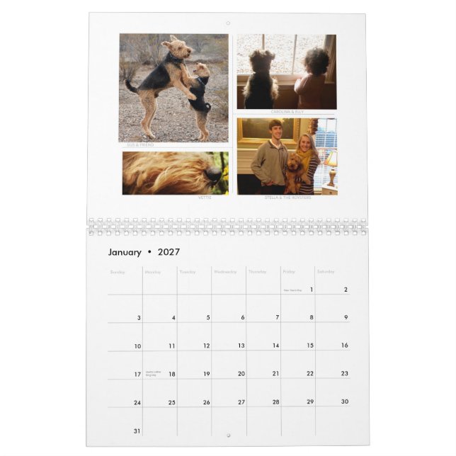 Shaireabs Bayleigh 2014 calendarios de Terrier (Jan 2027)