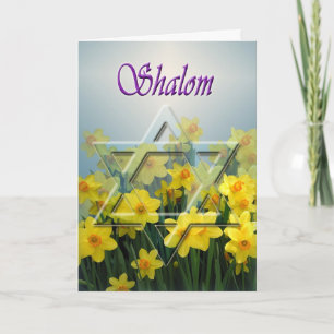 Shalom - tarjeta del Passover con la estrella de