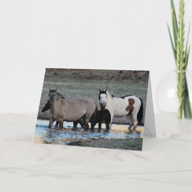 Shaman y Granite ~ Tarjeta de saludo de leyenda (Anverso)