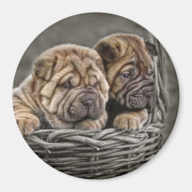 Shar-Pei en el imán cestero (Frente)
