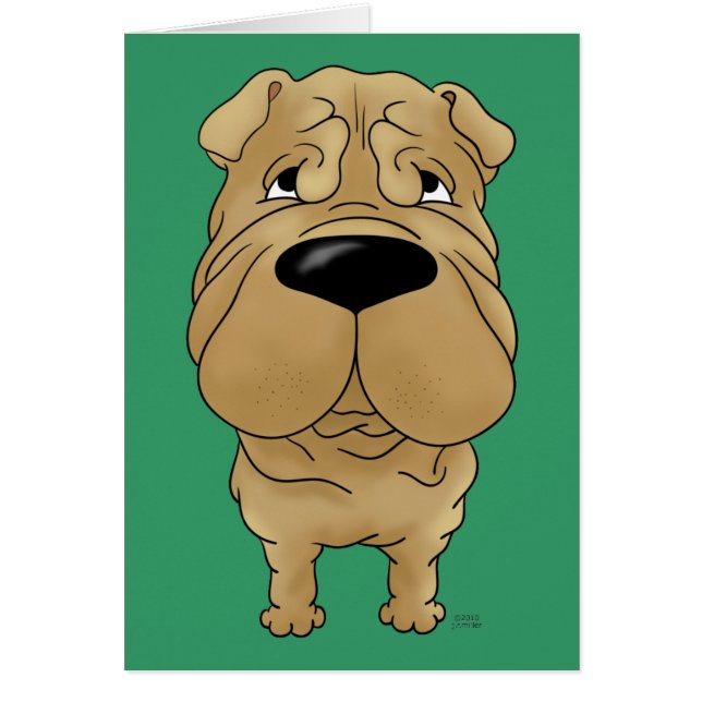 Shar-Pei - nariz grande y extremo (Frente)