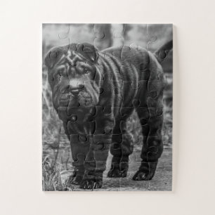 SHAR PEI PERRO NEGRO JIGSAW PUZZLE