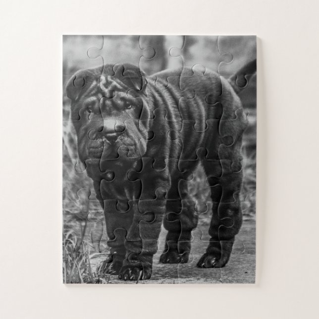 SHAR PEI PERRO NEGRO JIGSAW PUZZLE (Vertical)