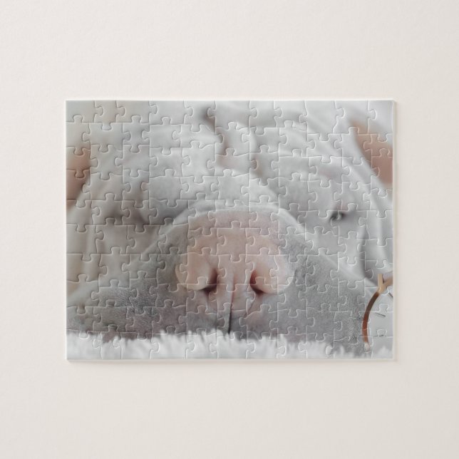 SHAR PEI SLEEPY DOG CERRAR PUZZLE (Horizontal)