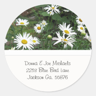 Shasta Daisies se dirige a Pegatinas