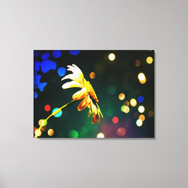 Shasta Daisy Sparkle Lienzo envuelto (Anverso)