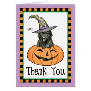 Sheepdog belga de Halloween