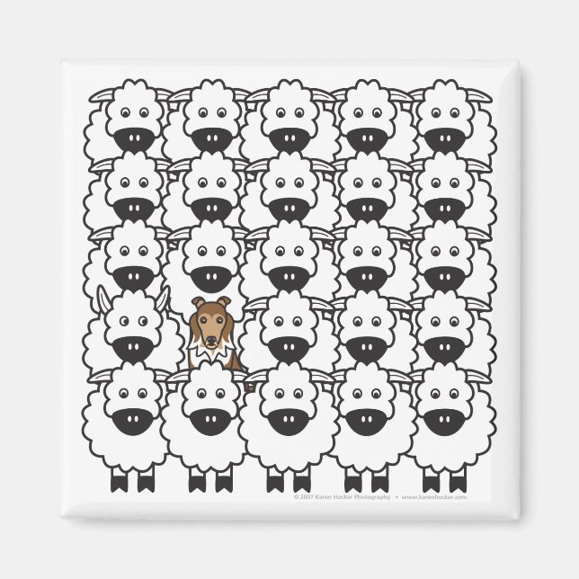 Sheepdog de Shetland en el imán de las ovejas (Frente)