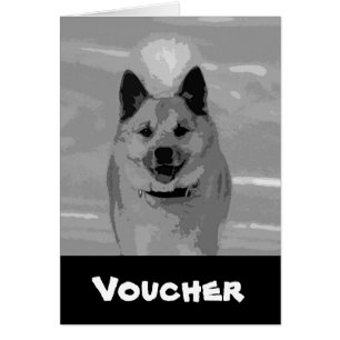 Sheepdog islandés20151203