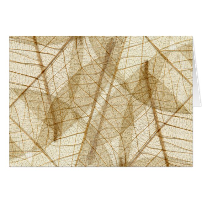 Sheer Cream Beige Lace Leaves (Anverso (Horizontal))