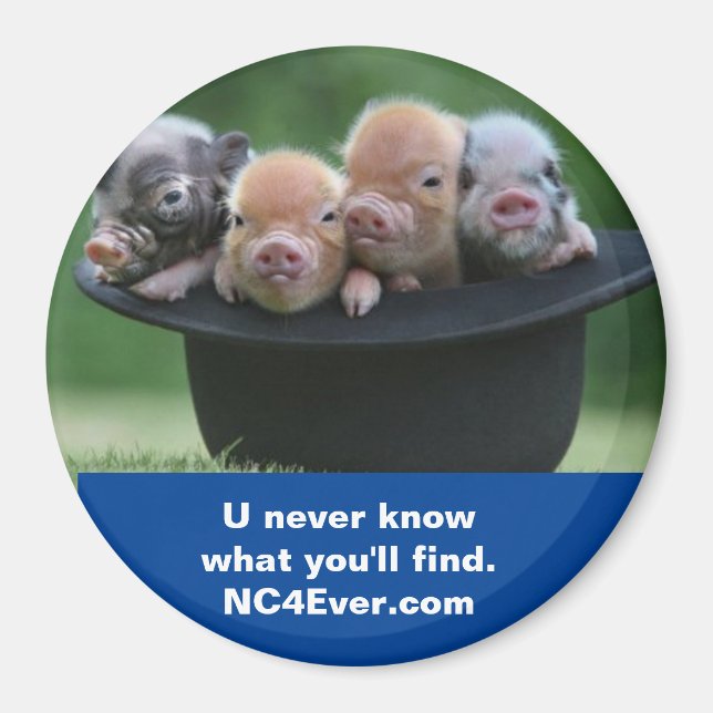 Shelby NC imán (Frente)