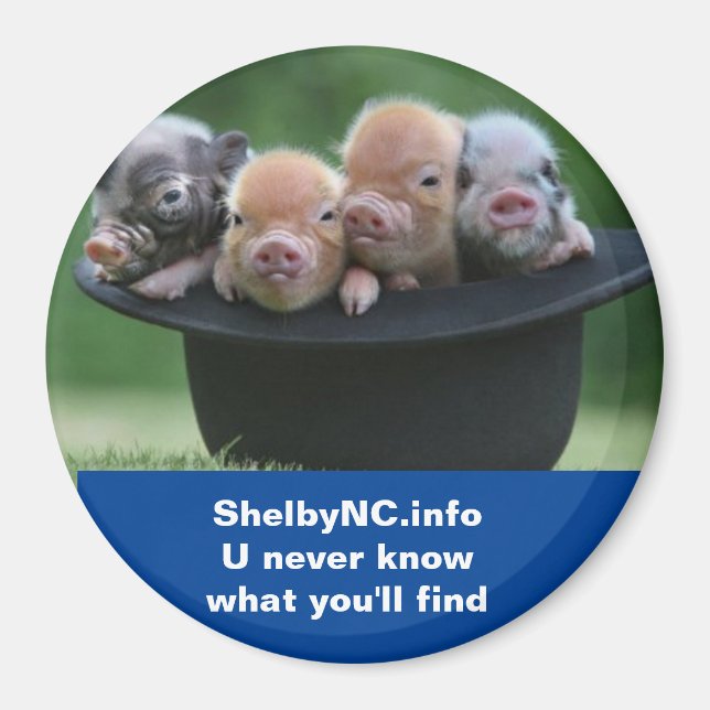 Shelby NC imán (Frente)