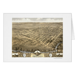 Shelbyville, mapa panorámico de IL - 1869
