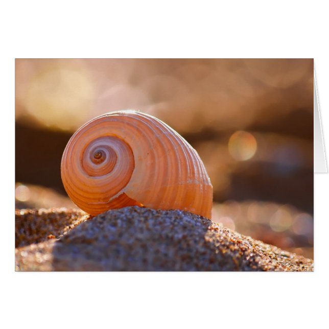 Shell Bokeh |Grecia (Anverso (Horizontal))