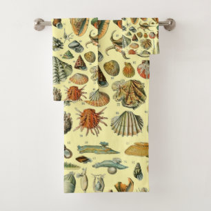 Shell de conchas marinas Mollusk Clam Elegante Art