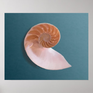 Shell de Nautilus en impresión de Bella Artes azul