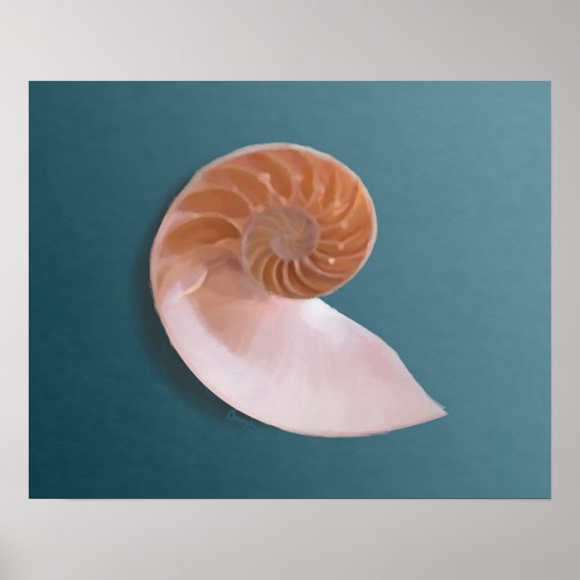Shell de Nautilus en impresión de Bella Artes azul (Frente)
