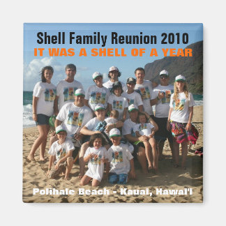 Shell de un imán de año