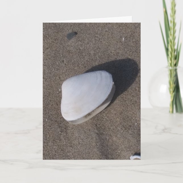 Shell en tarjeta de condolencia de arena (Anverso)