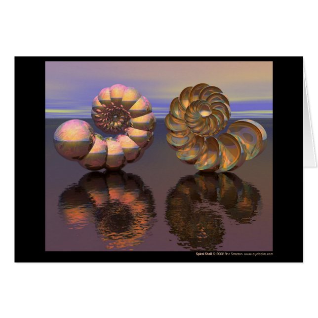 Shell espiral (Anverso (Horizontal))