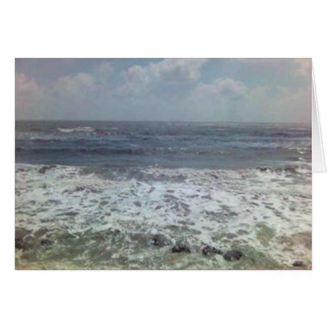 shellspima11173492-0010 (Anverso (Horizontal))