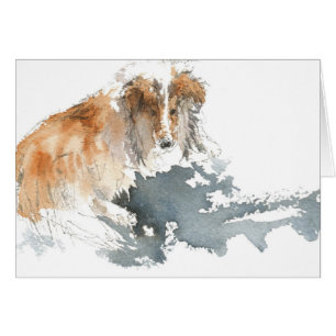Sheltie en color de agua